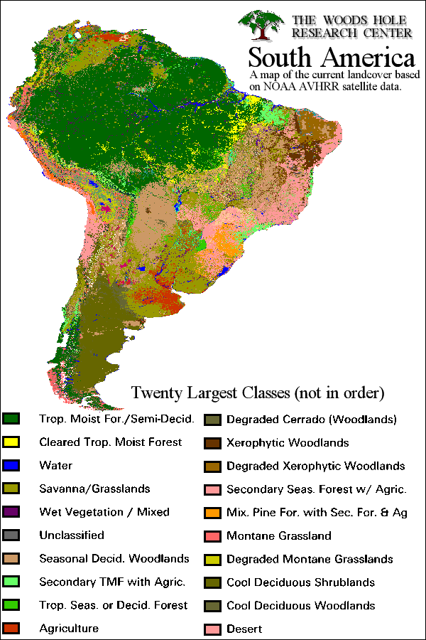 Map of South American Vegitations