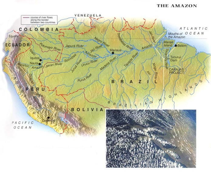 amazon basin