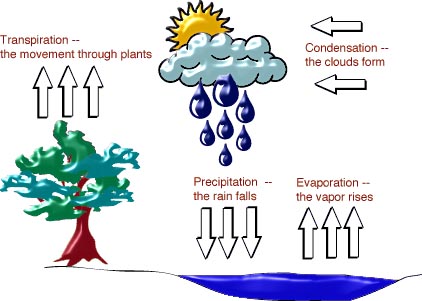 simple water cycle. of water