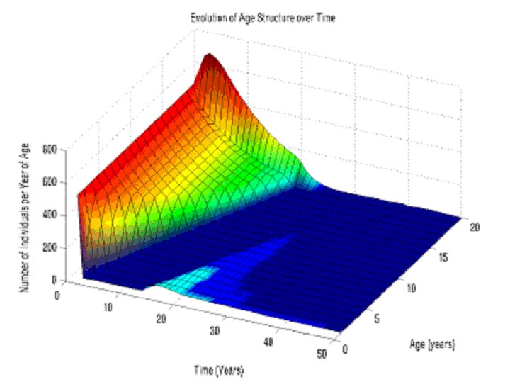 Arcview