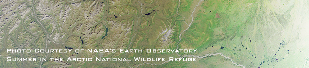 View of ANWR from space.