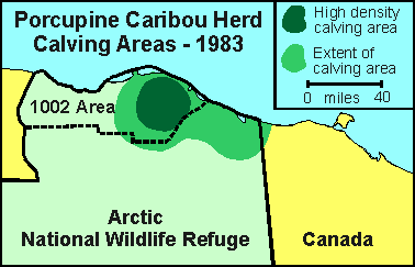 map or caribous herds in 1002 area
