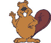 Dancing beaver