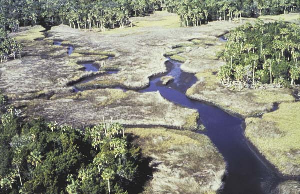 water habitat destruction