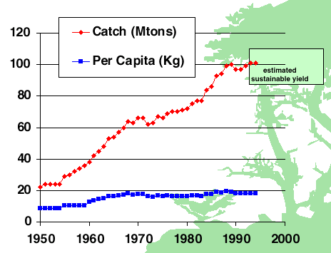 Global absolute and per capita fish catch