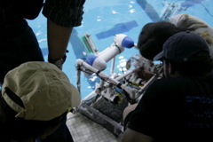 IMG_7825.JPG