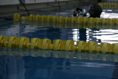 IMG_7834.JPG