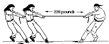 three people pulling on a rope.  The two on the left add up to pull with 220 pounds and the one on the right pulls with 220 pounds.