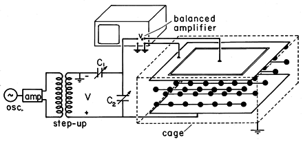 floating figure GIF #16
