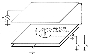 floating figure GIF #39