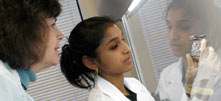 photo of visiting professor and student in biosafety hood