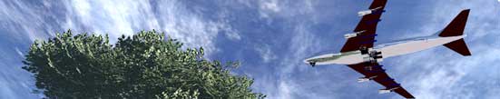 plane and tree