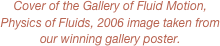 Cover of the Gallery of Fluid Motion, Physics of Fluids, 2006 image taken from our winning gallery poster.