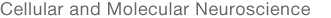 Cellular and Molecular Neuroscience