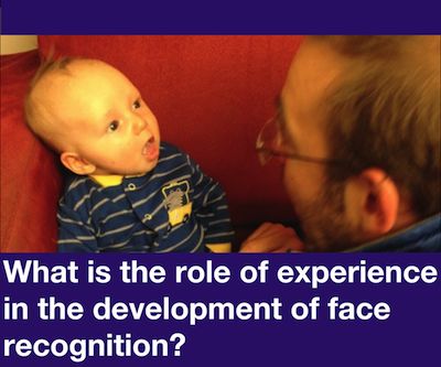 What is the role of experience in the development of face recognition