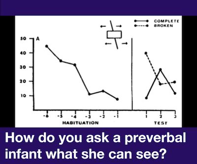 How do you ask a preverbal infant what she can see