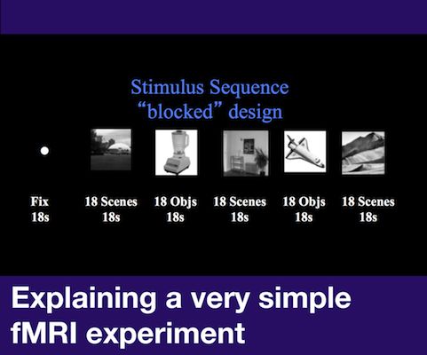 Explaining a very simple fMRI experiment