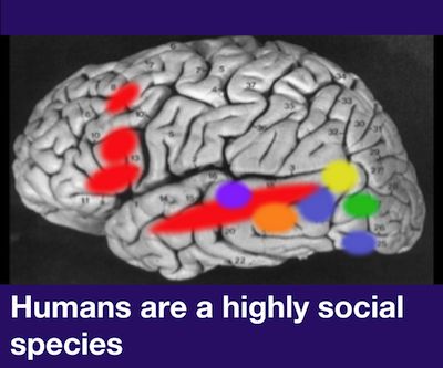 humans are a highly social species