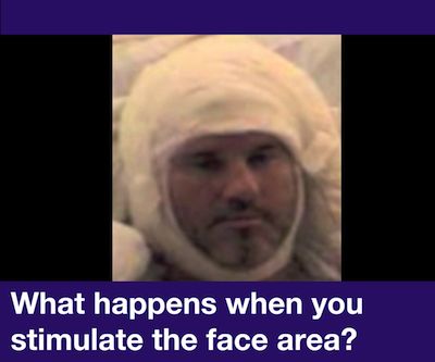 What happens when you stimulate the face area