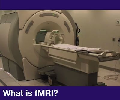 What is fMRI