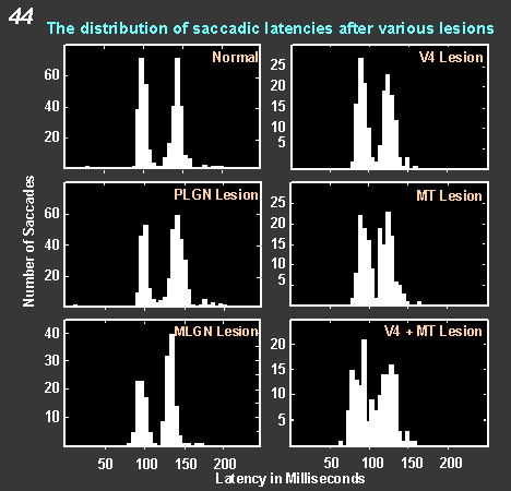 distribution of saccadic latencies after various lesions