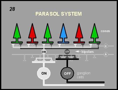 parasol system