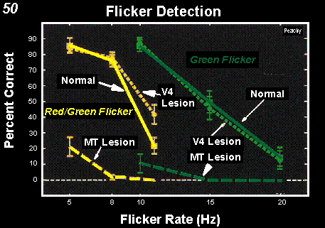 flicker detection