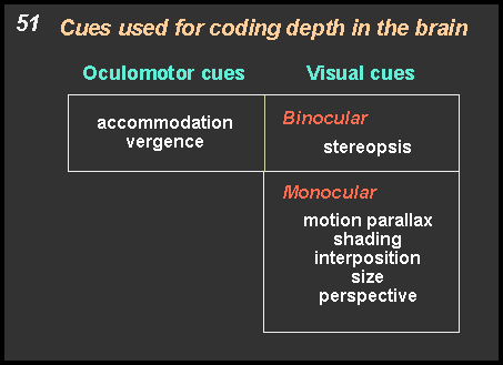 cues used for coding depth in the brain