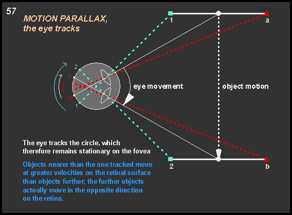 motion parallax, the eye tracks