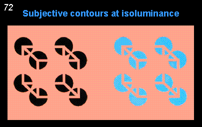 subjective contours at isoluminance