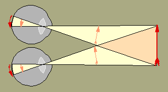 representation of arrow on retinae