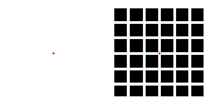hermann grid illusion - white adaptation demo