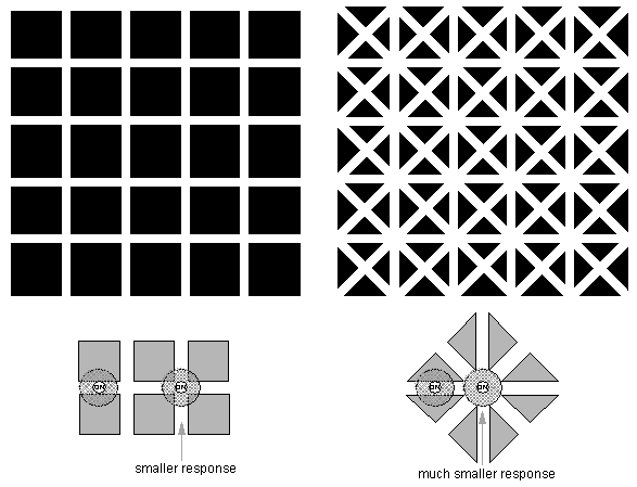 hermann grid illusion + variation + response description