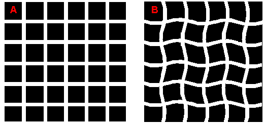 hermann grid illusion - wavy lines