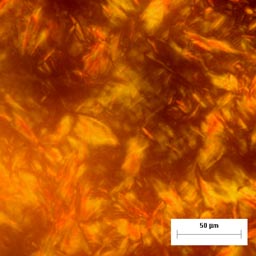 Polarized optical micrograph of a liquid crystalline polymer.