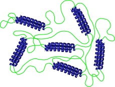 Telechelic protein gel with coiled-coil associating groups.
