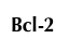Bcl-2