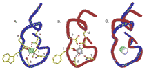 Structure of chemically evolved lanthanide binding tag