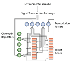 scientific image