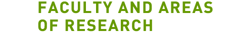 Faculty and Areas of Research