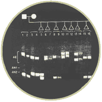 Housman Lab image