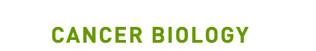 Cancer Biology