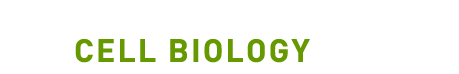 Cell Biology