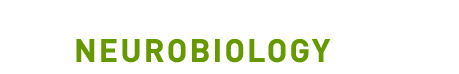 Neurobiology