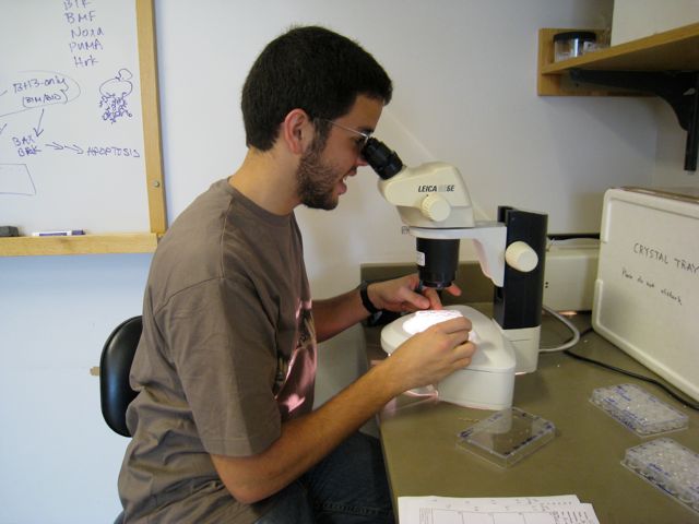 Wilfredo in lab