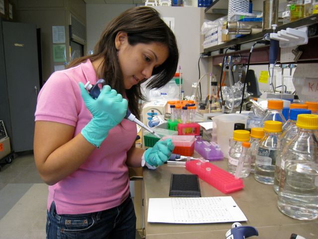 Amaris in lab