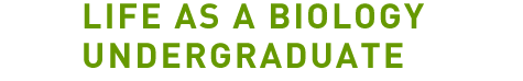 Life as a Biology Undergraduate