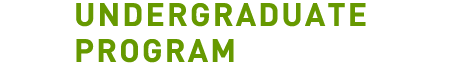 Undergraduate Program