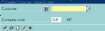 Display/change customer: initial screen