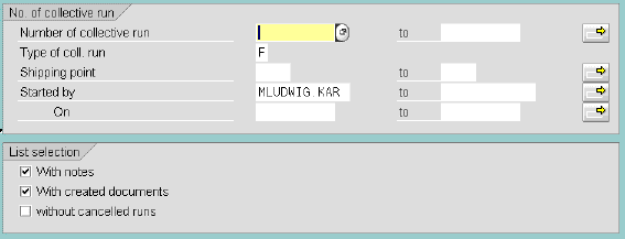Log of Collective Run: initial screen